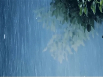 德商產(chǎn)投服務(wù):吹響備汛集結號！未雨綢繆，筑牢汛期安全防線(xiàn)