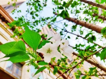 成都小區的幸福美好生活，藏著(zhù)春天最美的樣子！