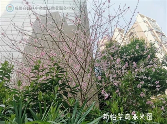 植樹(shù)節丨 在惠民物業(yè)園區，春天的氣息久久彌漫