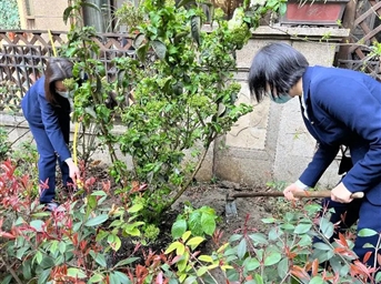 節日佳話(huà) | 擁抱春天，共植美好