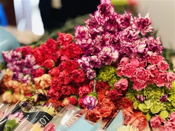 力寶·女神節 | 快進(jìn)來(lái)，接收女神節寵愛(ài)驚喜！