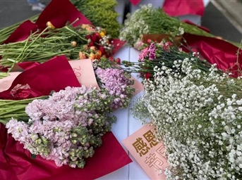 論女神節嘉寶各大小區的內卷精神