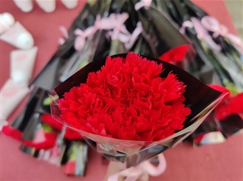 【3·8婦女節】 | 春風(fēng)十里，陽(yáng)光明媚，金地智慧服務(wù)祝女性同胞婦女節快樂(lè )！