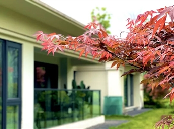 融禮序于自然，予服務(wù)以美學(xué) | 融創(chuàng  )案場(chǎng)服務(wù)塑造持續生長(cháng)的美好生活場(chǎng)景