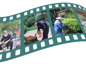 “溫暖+”，幸福家｜七大關(guān)鍵詞，見(jiàn)證滿(mǎn)意度的“成長(cháng)”