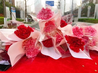 愿妳閃耀 不止今天