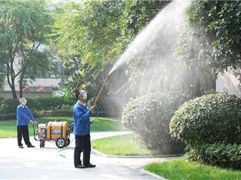 綠植養護，不負春光！