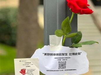 七夕節｜來(lái)自“天府園”的應急玫瑰 你收到了嗎？