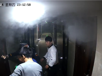 因為救出“四川最牛皮咪咪”，我們被四川電視臺報道了 | 中駿頭條