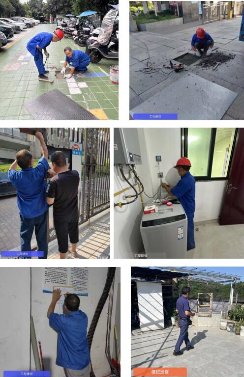 QQ截圖20240829111845