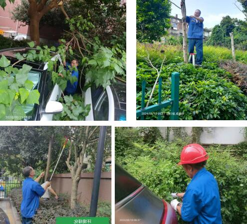 QQ截圖20240829111834